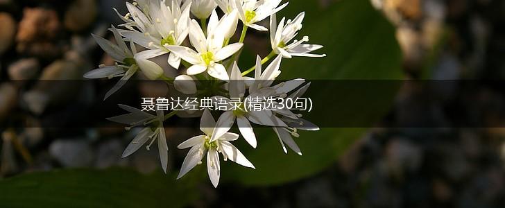 聂鲁达经典语录(精选30句),第1张