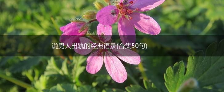 说男人出轨的经典语录(合集50句),第1张 说男人出轨的经典语录(合集50句),第1张