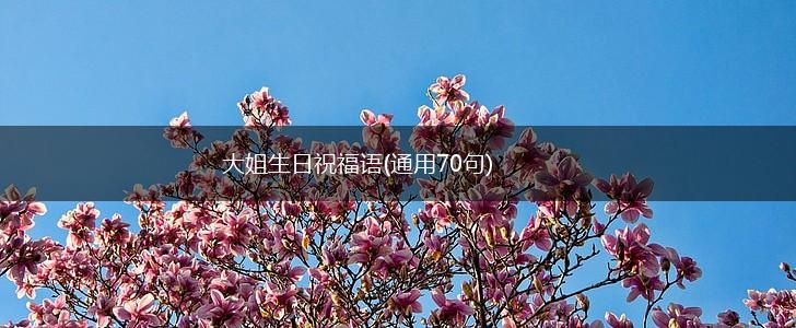 大姐生日祝福语(通用70句),第1张