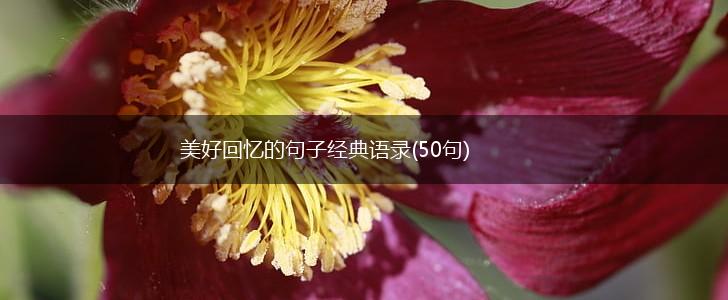 美好回忆的句子经典语录(50句),第1张 美好回忆的句子经典语录(50句),第1张