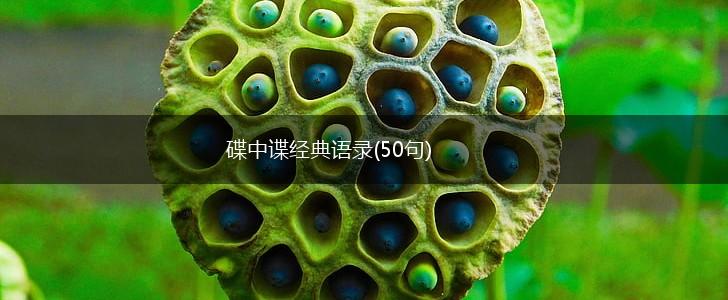 碟中谍经典语录(50句),第1张