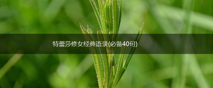 特蕾莎修女经典语录(必备40句),第1张