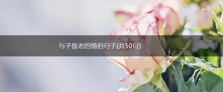 与子偕老的情侣句子(共50句),第1张