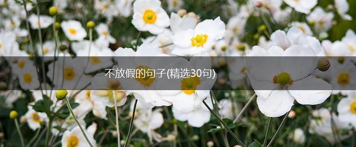 不放假的句子(精选30句),第1张