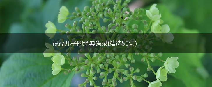 祝福儿子的经典语录(精选50句),第1张