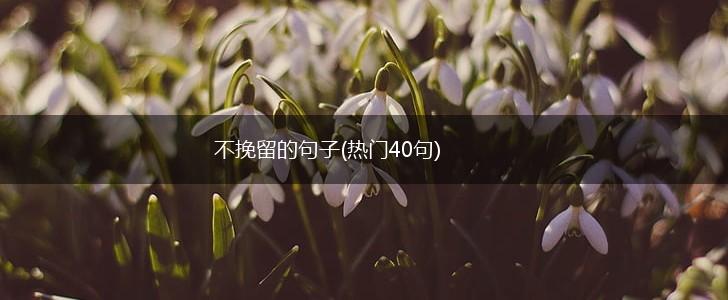 不挽留的句子(热门40句),第1张