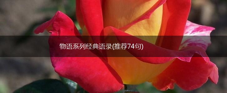 物语系列经典语录(推荐74句),第1张