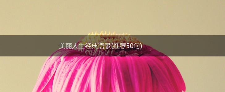 美丽人生经典语录(推荐50句),第1张