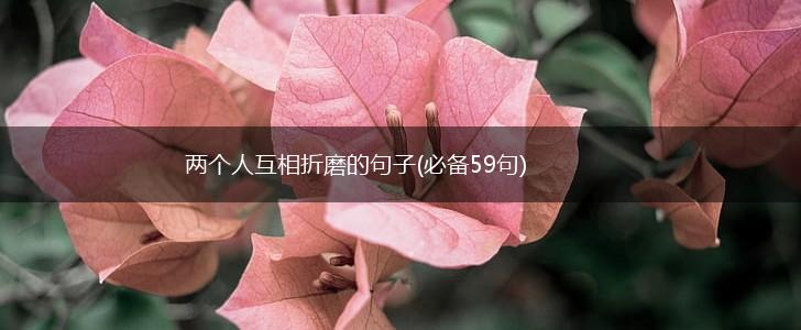 两个人互相折磨的句子(必备59句),第1张