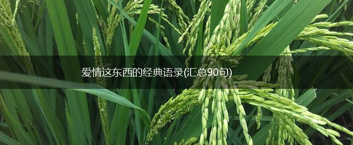 爱情这东西的经典语录(汇总90句),第1张