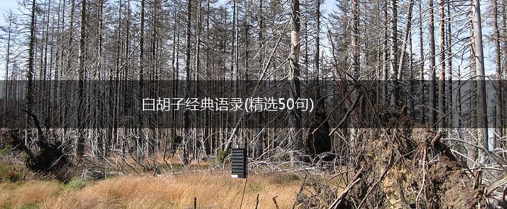 白胡子经典语录(精选50句),第1张