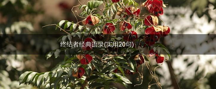 终结者经典语录(实用20句),第1张