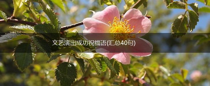 文艺演出成功祝福语(汇总40句),第1张