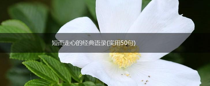 短而走心的经典语录(实用50句),第1张