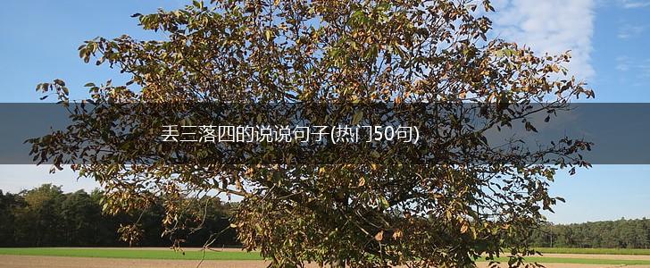 丢三落四的说说句子(热门50句),第1张