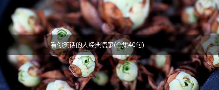 看你笑话的人经典语录(合集40句),第1张