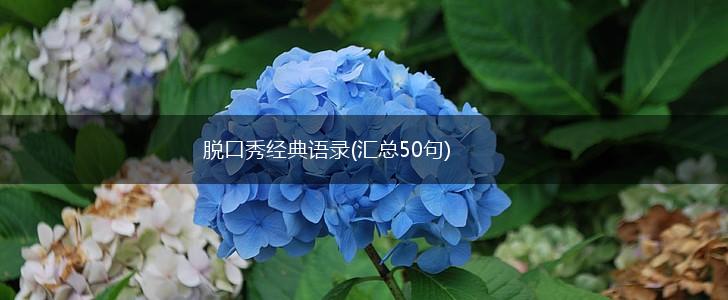 脱口秀经典语录(汇总50句),第1张