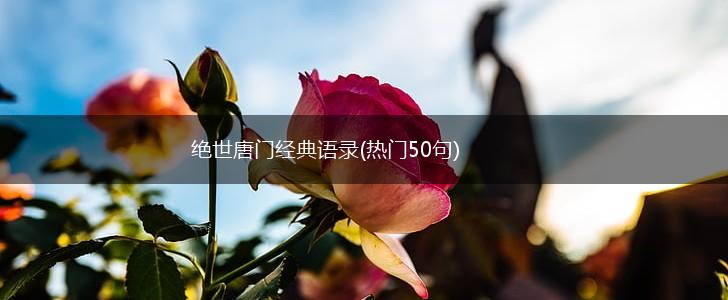 绝世唐门经典语录(热门50句),第1张