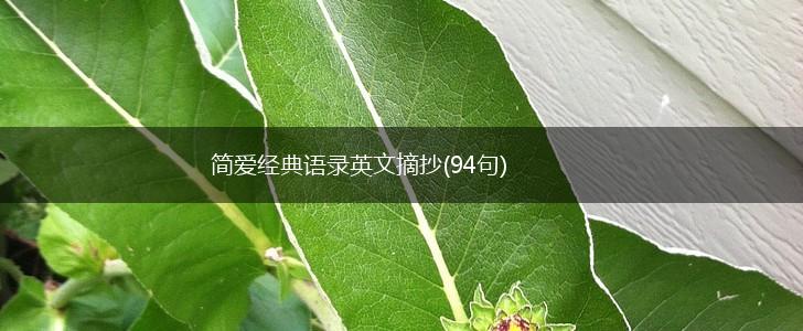简爱经典语录英文摘抄(94句),第1张