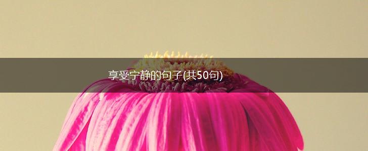 享受宁静的句子(共50句),第1张
