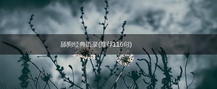 舔狗经典语录(推荐116句),第1张