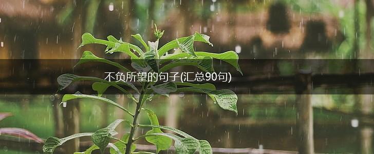 不负所望的句子(汇总90句),第1张