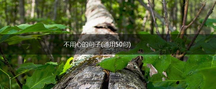 不用心的句子(通用50句),第1张