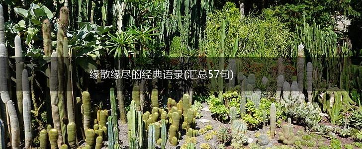 缘散缘尽的经典语录(汇总57句),第1张