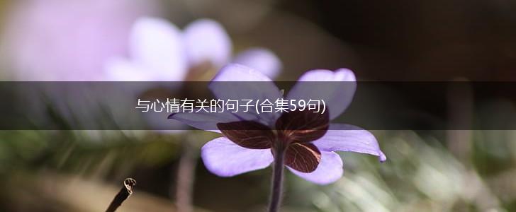 与心情有关的句子(合集59句),第1张