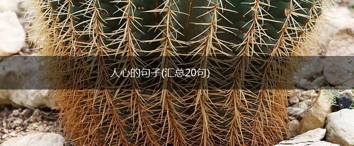 人心的句子(汇总20句),第1张