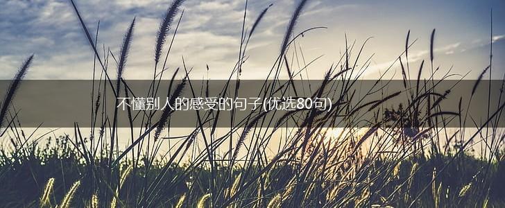 不懂别人的感受的句子(优选80句),第1张