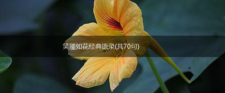 笑靥如花经典语录(共70句),第1张