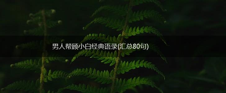 男人帮顾小白经典语录(汇总80句),第1张