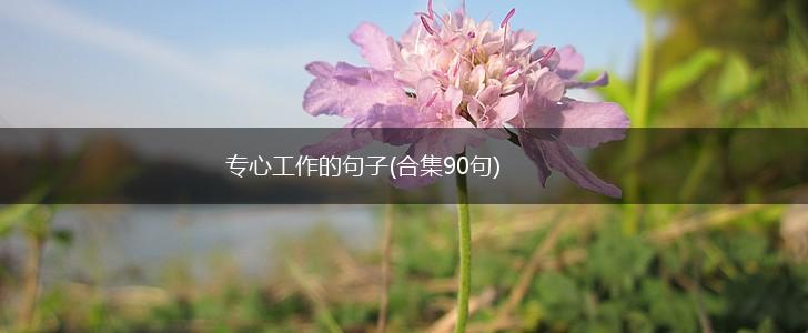 专心工作的句子(合集90句),第1张
