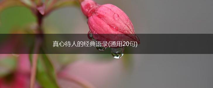 真心待人的经典语录(通用20句),第1张