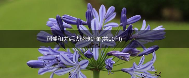 稻盛和夫活法经典语录(共10句),第1张