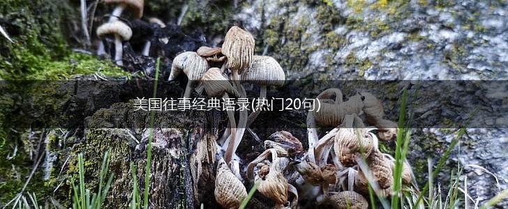 美国往事经典语录(热门20句),第1张