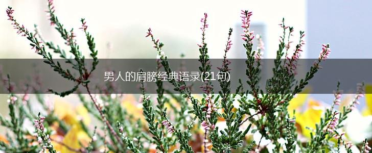 男人的肩膀经典语录(21句),第1张