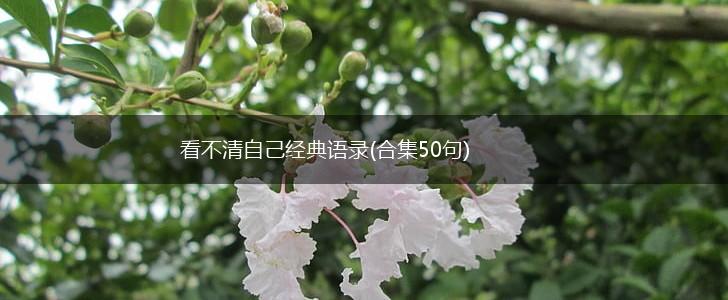 看不清自己经典语录(合集50句),第1张 看不清自己经典语录(合集50句),第1张