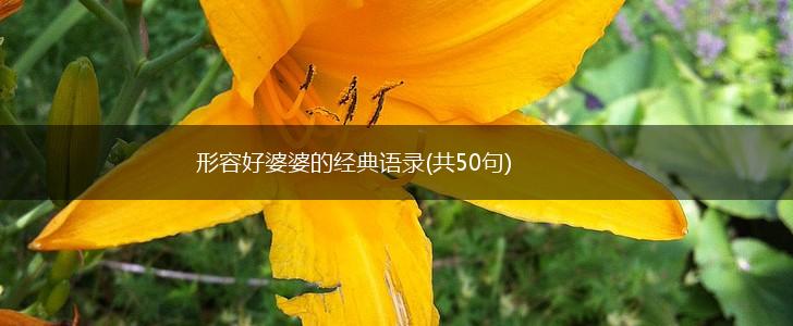形容好婆婆的经典语录(共50句),第1张