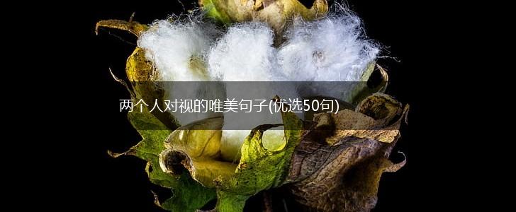 两个人对视的唯美句子(优选50句),第1张