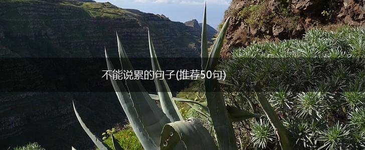 不能说累的句子(推荐50句),第1张