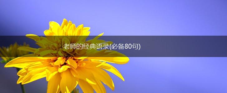 老师的经典语录(必备80句),第1张