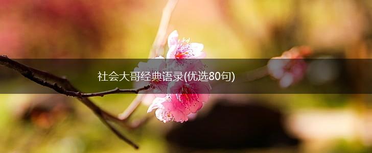 社会大哥经典语录(优选80句),第1张