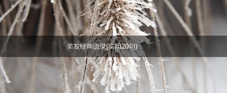 美发经典语录(实用20句),第1张