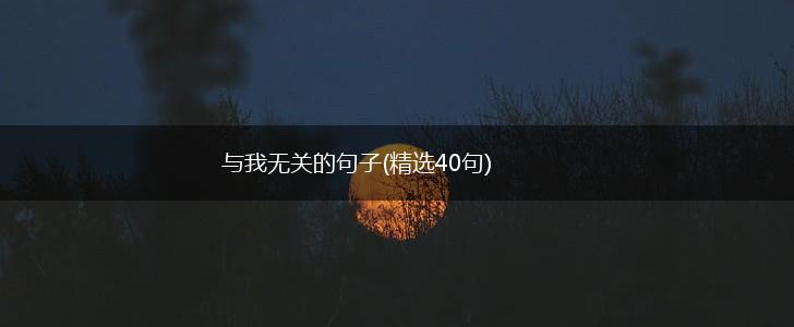 与我无关的句子(精选40句),第1张