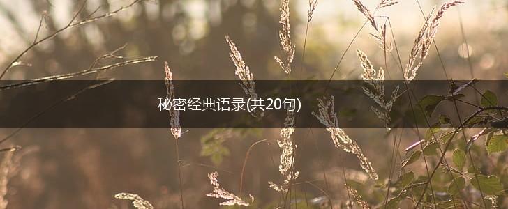 秘密经典语录(共20句),第1张