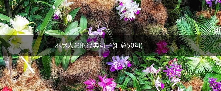 不尽人意的经典句子(汇总50句),第1张