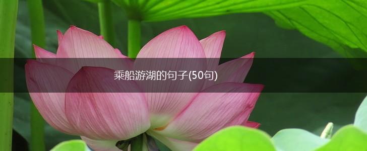 乘船游湖的句子(50句),第1张