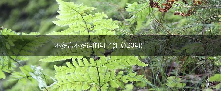 不多言不多语的句子(汇总20句),第1张